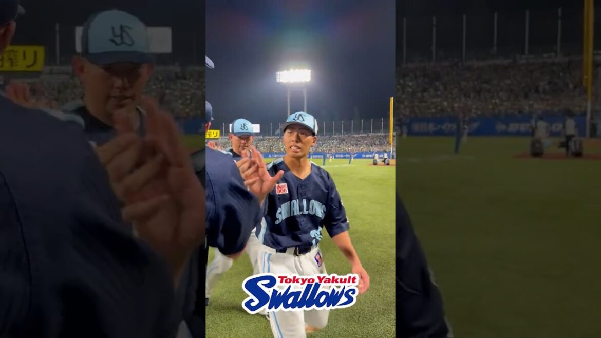 勝利後のハイタッチ #swallows #shorts