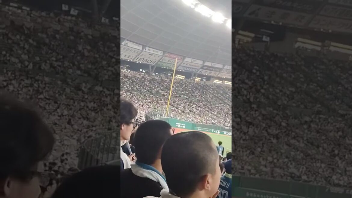 【日ハム】【神曲】中島卓也　応援歌　20250716 vs西武