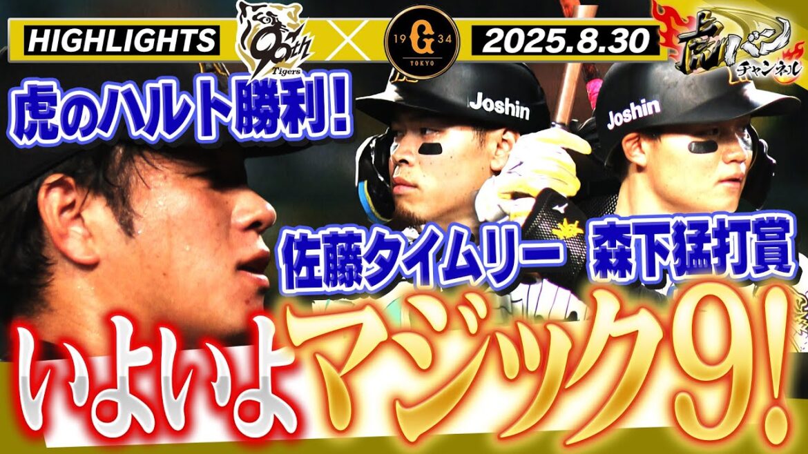 【8月30日 阪神-巨人 ハイライト】ついにマジック一桁突入!!森下猛打賞&佐藤・熊谷が大活躍!!阪神タイガース密着!応援番組「虎バン」ABCテレビ公式チャンネル 【8月30日 阪神-巨人 ハイライト】ついにマジック一桁突入!!森下猛打賞&佐藤・熊谷が大活躍!!阪神タイガース密着!応援番組「虎バン」ABCテレビ公式チャンネル