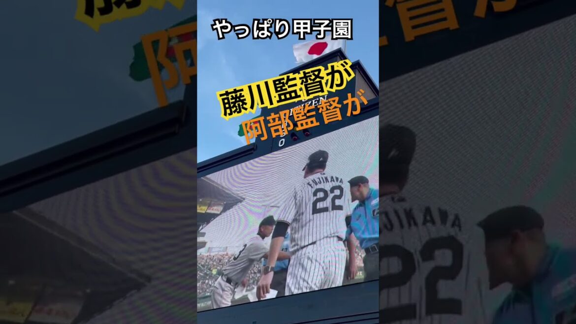 #阪神タイガース #藤川球児 #読売ジャイアンツ #阿部慎之介 #藤川監督 #阿部監督 #伝統の一戦 #阪神甲子園球場 #hanshintigers #yomiurigiants