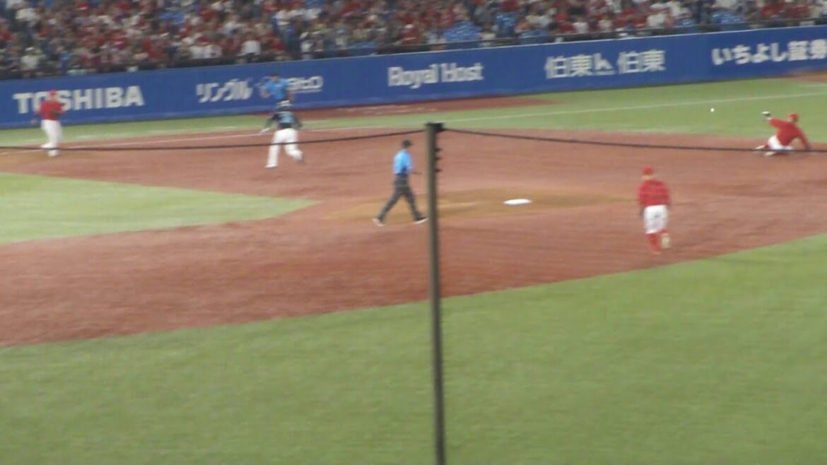 広島 小園海斗 ナイスプレー　ヤクルト vs 広島　2025年8月29日(金)　神宮球場
