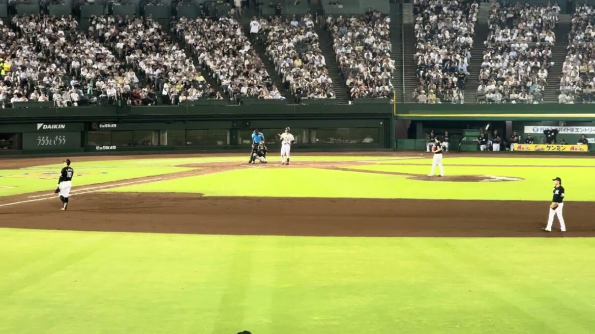 オリックス・バファローズ 紅林 弘太郎 応援歌 (大島公一)