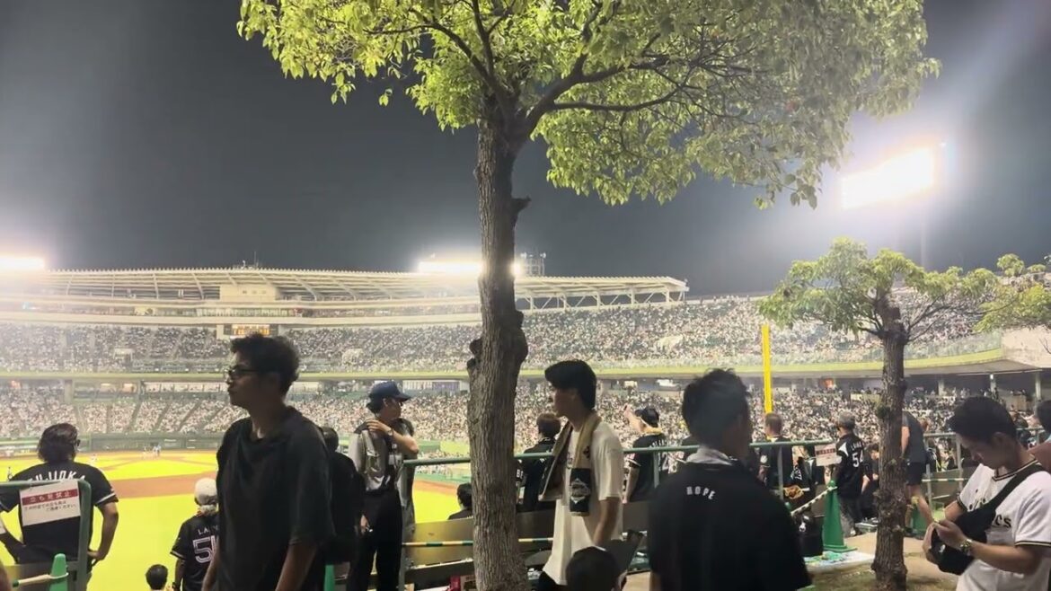 千葉ロッテマリーンズ 寺地 隆成 応援歌