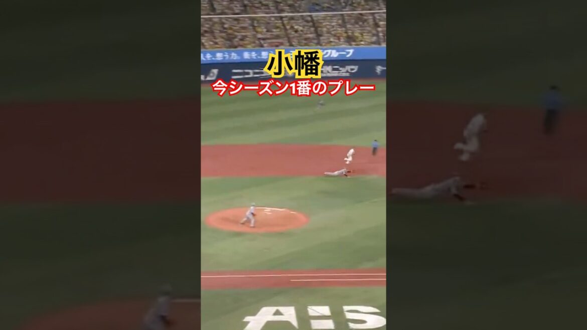小幡竜平、今シーズン最高のプレー #野球 #阪神 #shorts