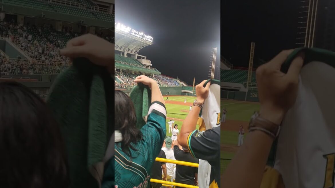 [250829] 氣蓋山河全場應援  王柏融打擊 | 台鋼雄鷹⚾️樂天桃猿 | 澄清湖棒球場 | 穿裙裙去玩玩