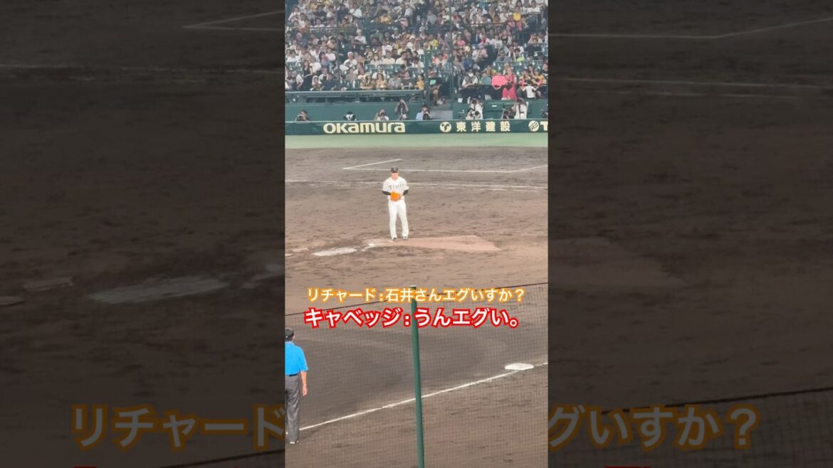 石井大智さんエグすぎるのよ。 #阪神タイガース #石井大智 #キャベッジ #shorts