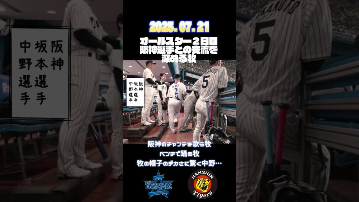 #baystars #阪神タイガース  #shorts  #プロ野球  　牧秀悟、オールスター2日目、阪神選手との絡み #牧秀悟 #森下翔太 #中野拓夢 #坂本誠志郎