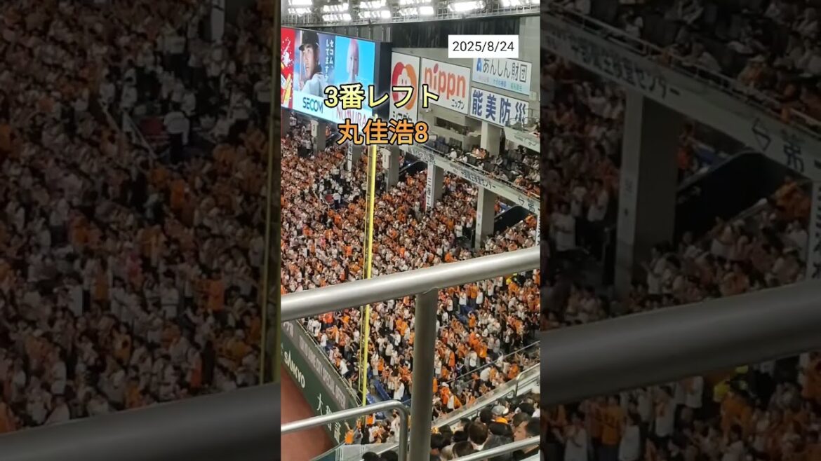 【GIANTS】3番レフト丸佳浩8 ライトスタンドの応援席の様子 #shorts #巨人 #ジャイアンツ #プロ野球