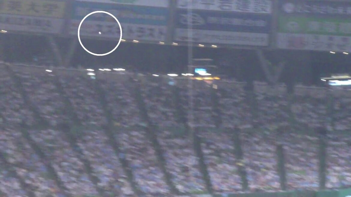 オリックス 杉本裕太郎 タイムリーヒット　西武 vs オリックス　2025年8月30日(土)　ベルーナドーム