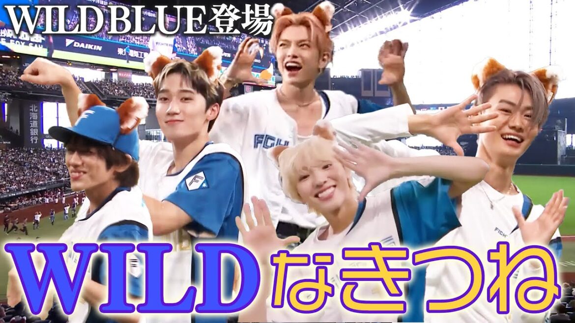 【#WILDBLUEが登場！ 】WILD BLUEの"ワイルド"なきつねダンス！