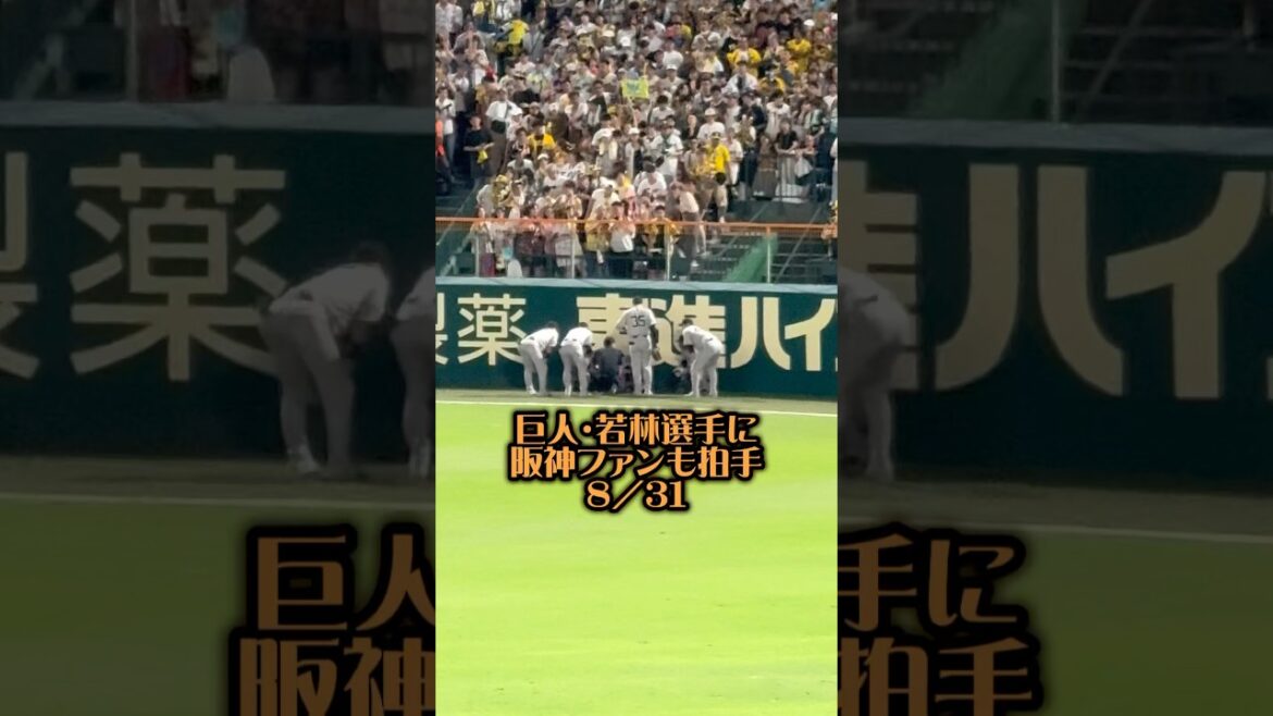 巨人・若林選手フェンス激突25/8/31 #読売ジャイアンツ #巨人 #ジャイアンツ #若林楽人 #駒沢大 #阪神タイガース #阪神 #阪神ファン #森下翔太 #甲子園 #外野手 #フェンス激突