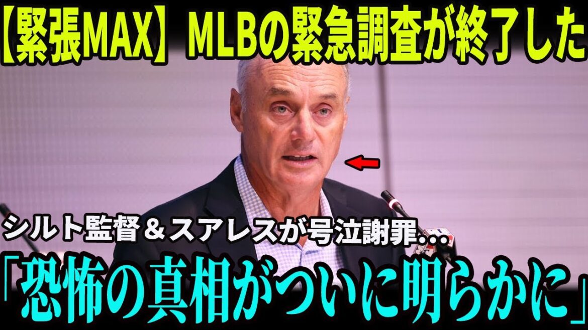 【速報!!!】MLB緊急調査終了で“即解雇”決定！シルト監督の涙の裏側と、無視されたロバート・スアレスの謝罪の言葉…恐怖の真相がついに明らかに！【海外の反応 MLBメジャー 野球】