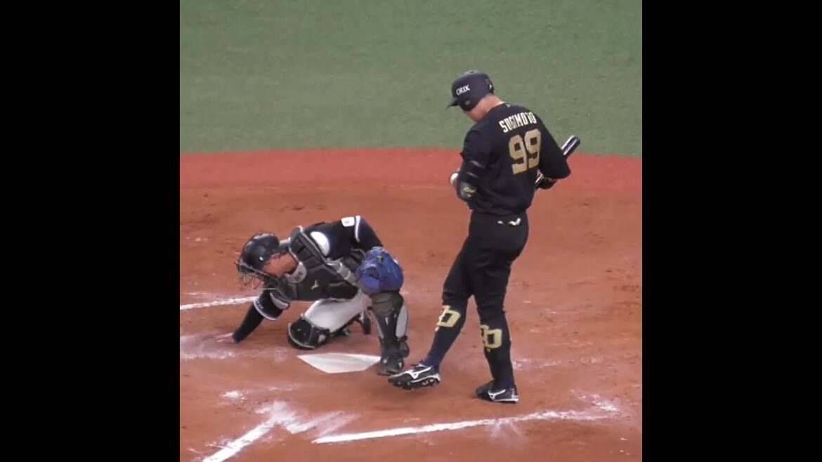 杉本 裕太郎 & 田村 龍弘　協力してホーム付近の砂ならし　#shorts