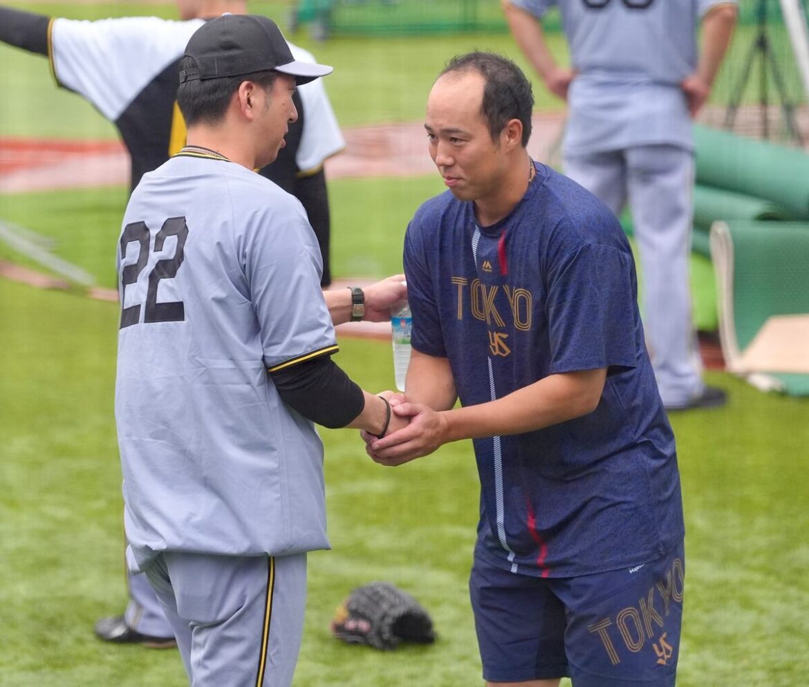 ヤクルト・青柳晃洋「ルーキーみたいな気持ち」チームに初合流 練習後は古巣へあいさつ回り（サンケイスポーツ） - Yahoo!ニュース - Yahoo!ニュース