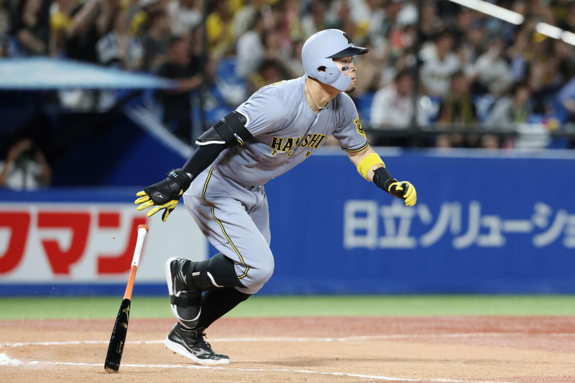 【阪神】珍しかった藤川監督と佐藤輝明の“共鳴” 興奮しても忘れない冷静さ「選手が一番大切」（日刊スポーツ） - Yahoo!ニュース - Yahoo!ニュース