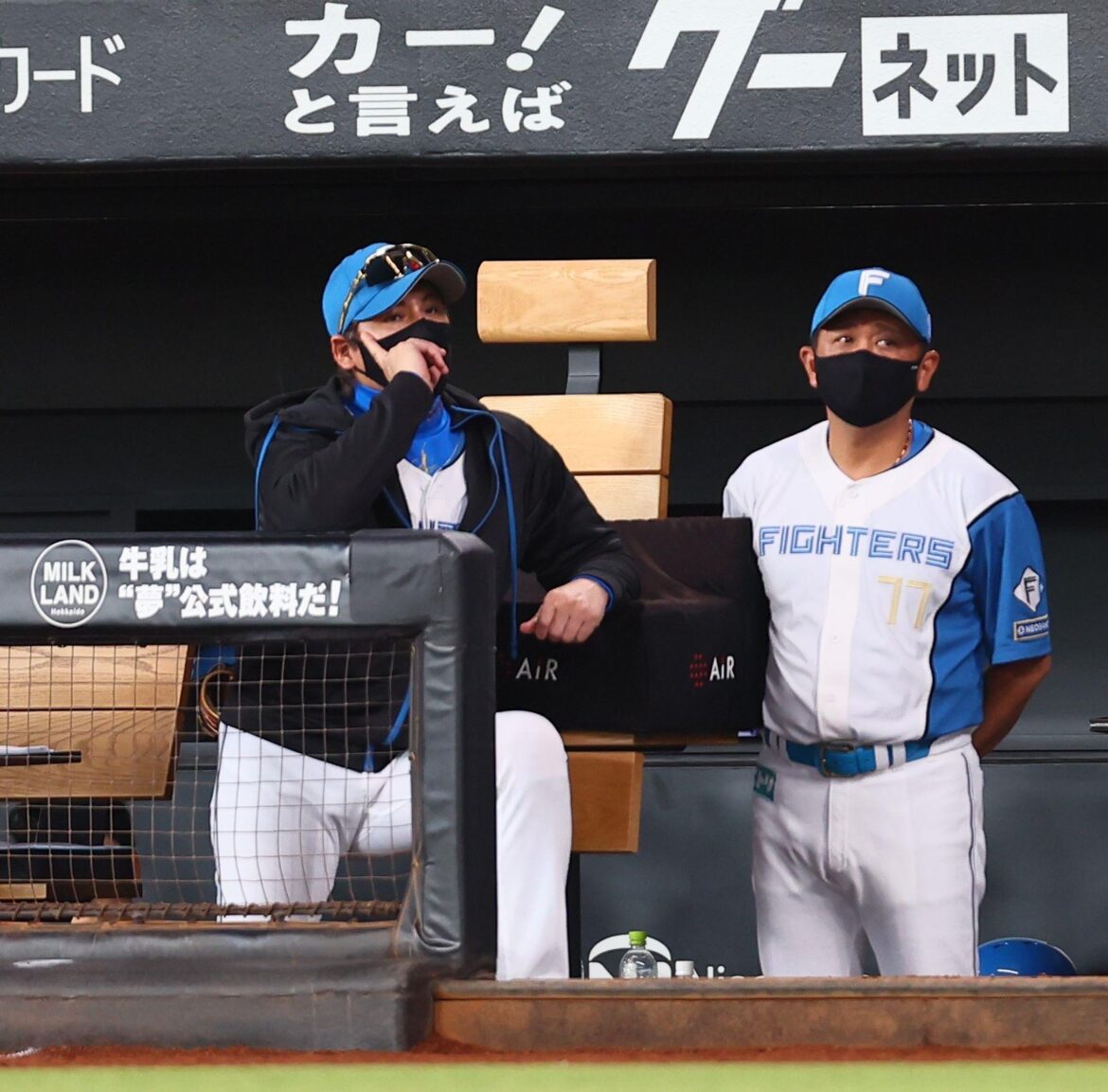 完封負けの新庄監督 西武・今井に脱帽「打席に立ってみたいね。選手登録してみようかな」死球の松本剛は「セーフ」（デイリースポーツ） - Yahoo!ニュース - Yahoo!ニュース