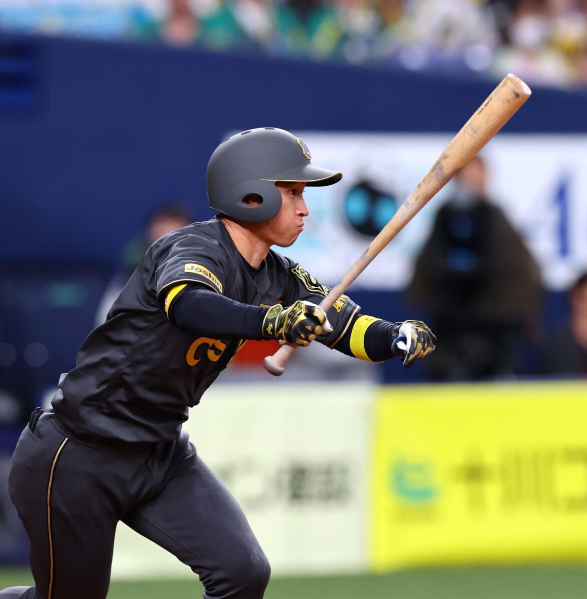 阪神が連敗ストップ 近本が見せた“犠牲”&ヤクルト・村上を封じた及川-坂本の信頼関係を感じる配球(デイリースポーツ) – Yahoo!ニュース – Yahoo!ニュース 阪神が連敗ストップ 近本が見せた“犠牲”&ヤクルト・村上を封じた及川-坂本の信頼関係を感じる配球(デイリースポーツ) - Yahoo!ニュース - Yahoo!ニュース