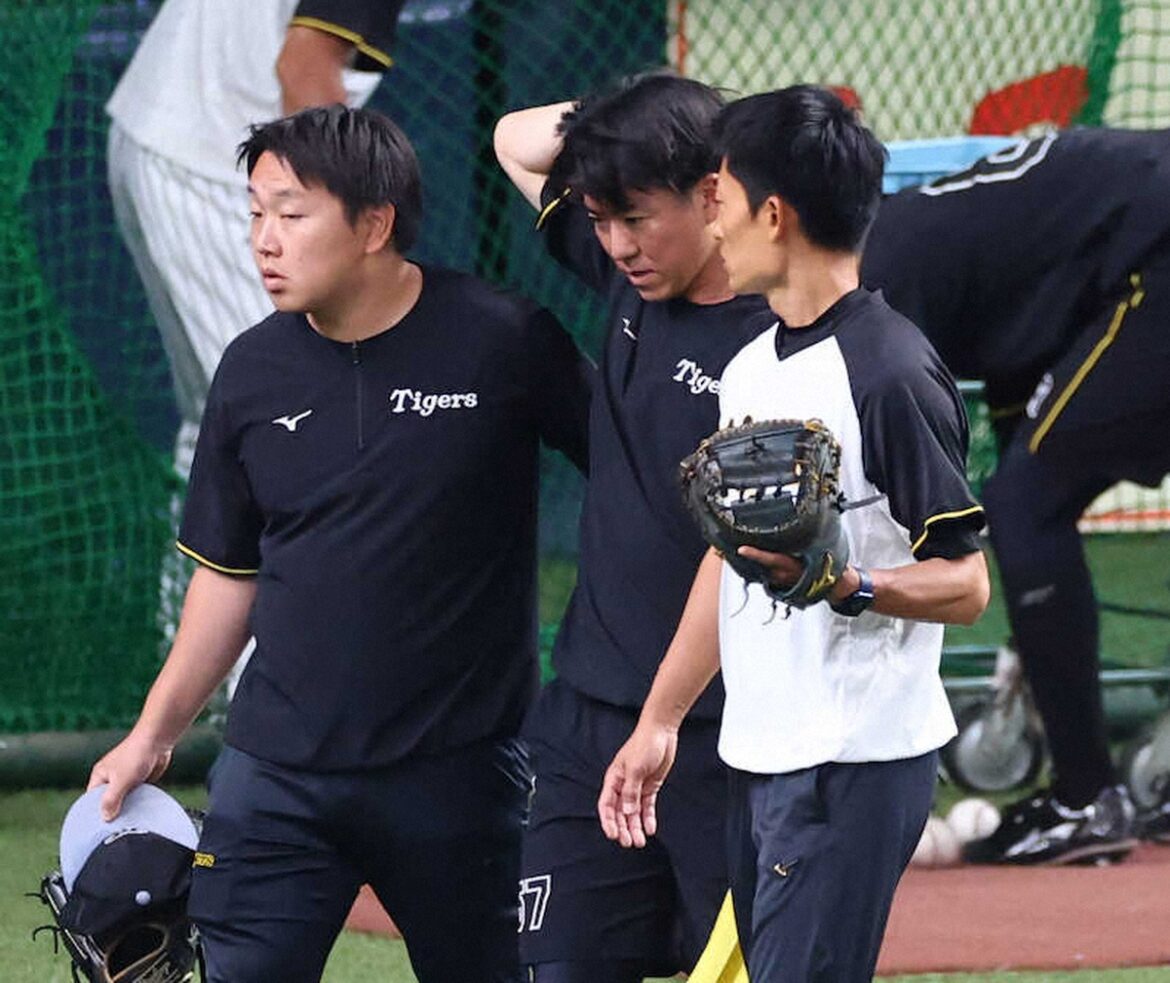 阪神・長坂拳弥が練習中にアクシデント 送球が後頭部に直撃、トレーナーとともにベンチ裏へ（スポニチアネックス） - Yahoo!ニュース - Yahoo!ニュース