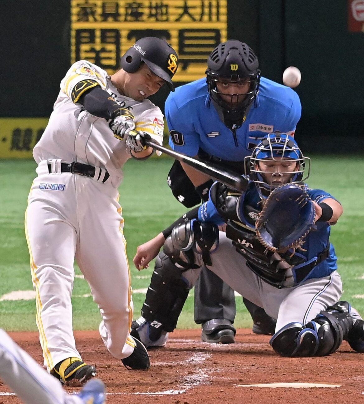 無双状態のソフトバンク近藤健介がハムのエース伊藤大海から先制打 8月月間打率は5割4分5厘に（西スポWEB OTTO！） - Yahoo!ニュース - Yahoo!ニュース