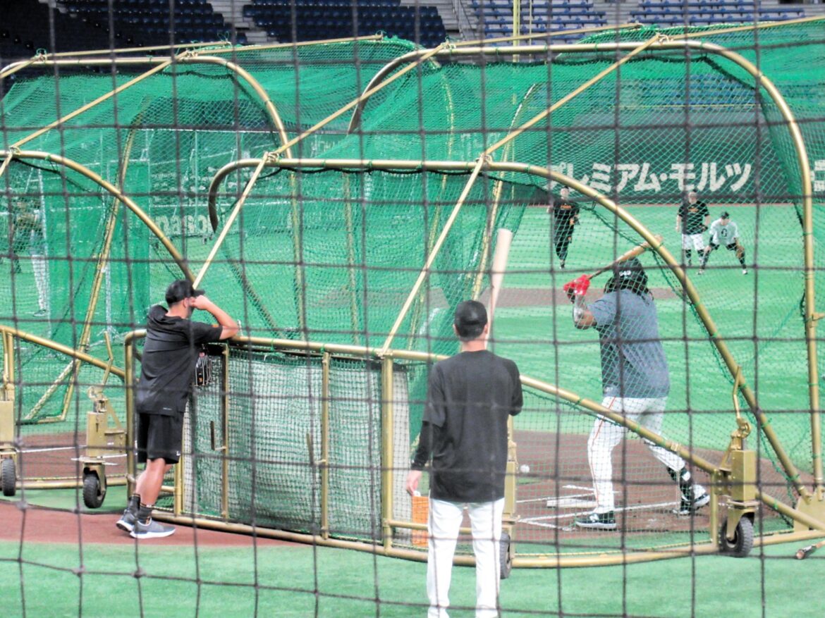 巨人 驚異の育成新助っ人・フェリスが１軍試合前練習に参加 衝撃パワーに周囲騒然 阿部監督が食い入るように見つめる（デイリースポーツ） - Yahoo!ニュース - Yahoo!ニュース