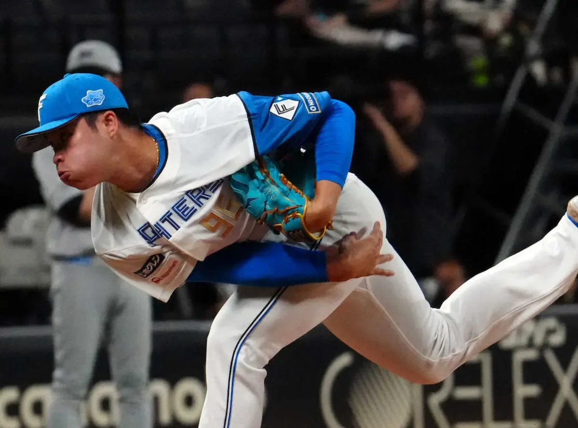 【11日の公示】日本ハムが孫易磊、DeNA・平良を登録　阪神・門別、広島・玉村、ヤクルト・石原を抹消 - スポニチ Sponichi Annex 野球