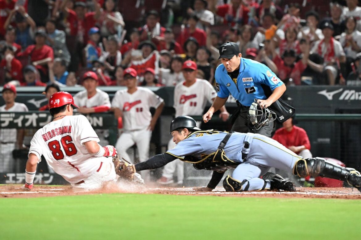 【広島】若手積極起用で「ミス」多発… 新井監督が覚悟する〝痛み〟（東スポWEB） - Yahoo!ニュース - Yahoo!ニュース