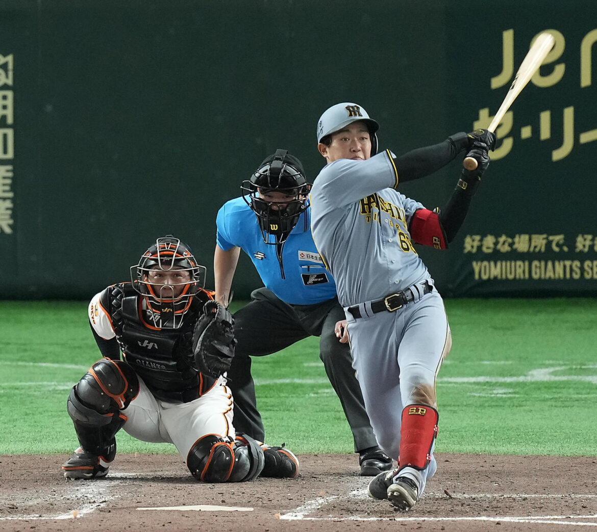 【阪神】「捕手」登録の中川勇斗が初の3安打 通算4安打の小さな強打者が一気に爆発(日刊スポーツ) – Yahoo!ニュース – Yahoo!ニュース 【阪神】「捕手」登録の中川勇斗が初の3安打 通算4安打の小さな強打者が一気に爆発(日刊スポーツ) - Yahoo!ニュース - Yahoo!ニュース