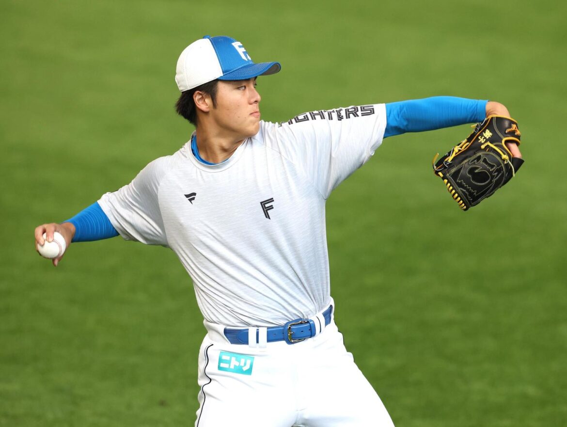 【日本ハム】柴田獅子が元気に1軍合流 23日ソフトバンク戦で先発予定（日刊スポーツ） - Yahoo!ニュース - Yahoo!ニュース