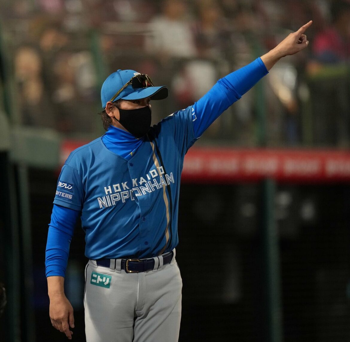 新庄ハム「逆転優勝」へ 22日から天王山、4人のキーマンが鷹を止めるか（AERA DIGITAL） - Yahoo!ニュース - Yahoo!ニュース