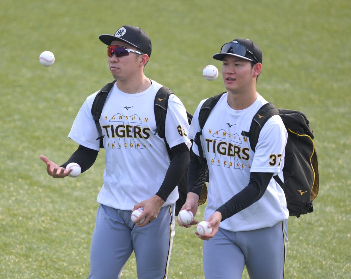 阪神 ヤクルトの攻撃を封じた内角攻め 及川、石井、桐敷が寸分の狂いもなく 藤川監督「本当に選手をたたえてあげて」(デイリースポーツ) – Yahoo!ニュース – Yahoo!ニュース 阪神 ヤクルトの攻撃を封じた内角攻め 及川、石井、桐敷が寸分の狂いもなく 藤川監督「本当に選手をたたえてあげて」(デイリースポーツ) - Yahoo!ニュース - Yahoo!ニュース