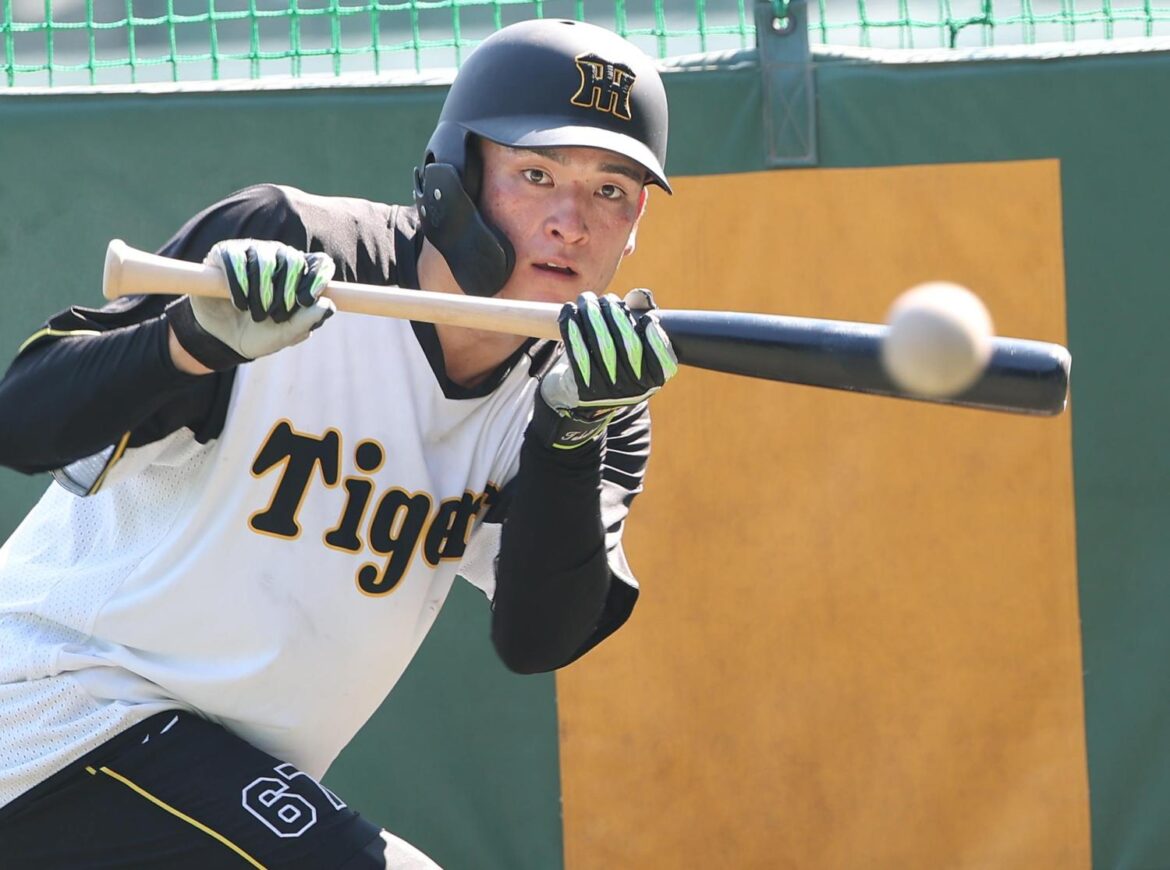 【阪神】「逃げてんじゃない」藤川監督に叱責受けた高寺望夢は１軍残留「取り返すしかない」（日刊スポーツ） - Yahoo!ニュース - Yahoo!ニュース