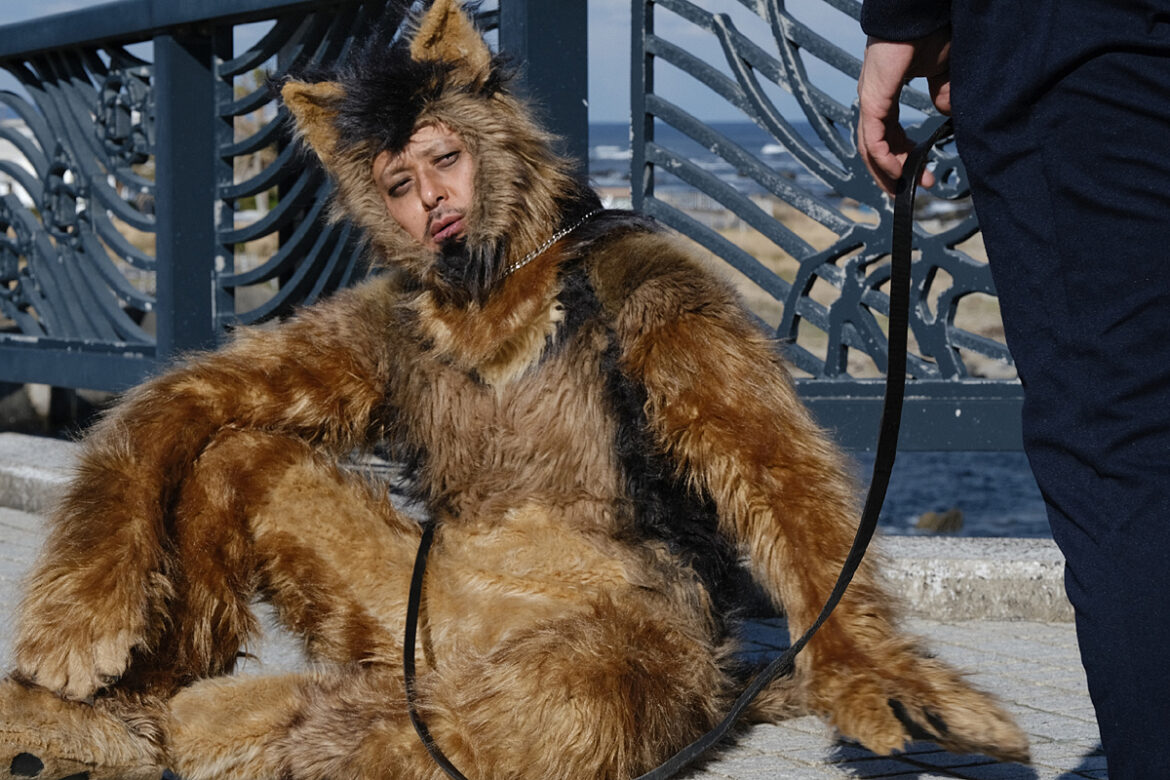 『THE オリバーな犬、(Gosh!!)このヤロウ MOVIE』オリバーが初始球式に堂々登場!9月4日(木)「広島東洋カープvs横浜DeNAベイスターズ | CINEMA FACTORY 『THE オリバーな犬、(Gosh!!)このヤロウ MOVIE』オリバーが初始球式に堂々登場!9月4日(木)「広島東洋カープvs横浜DeNAベイスターズ | CINEMA FACTORY