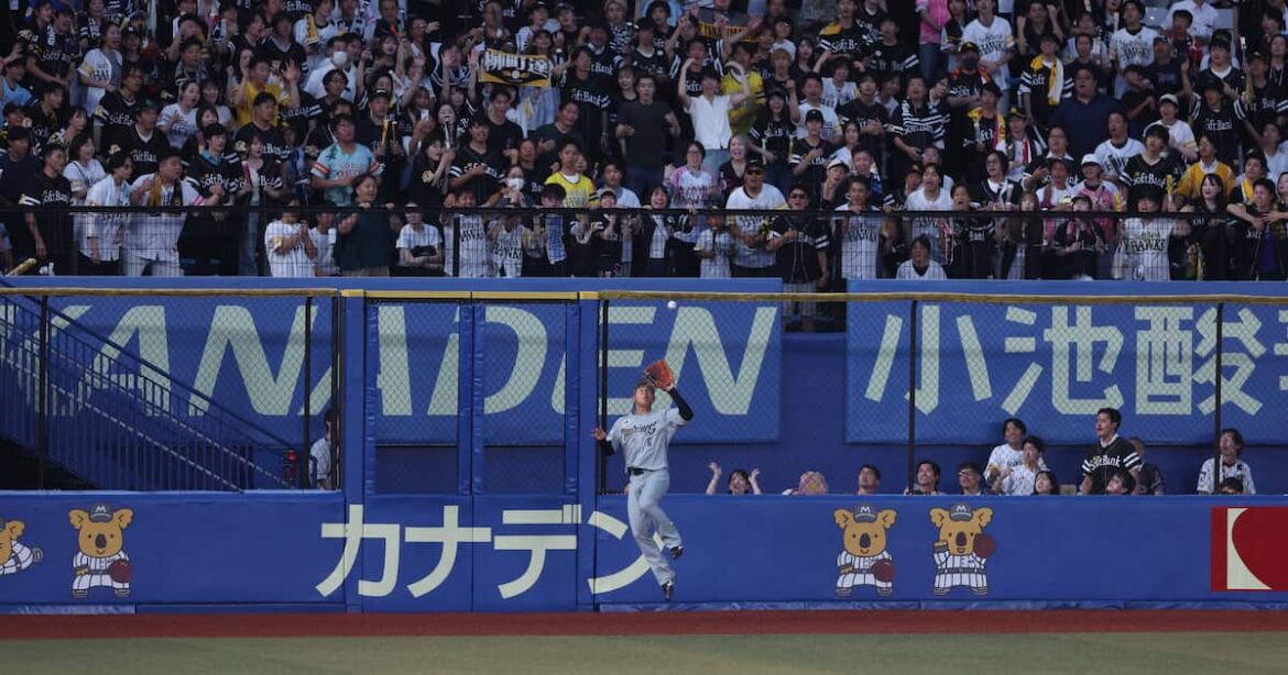 千葉ロッテ・西川史礁選手「取れるアウトは絶対に取る」外野守備へのこだわり 背番号6の後継者 - 産経ニュース