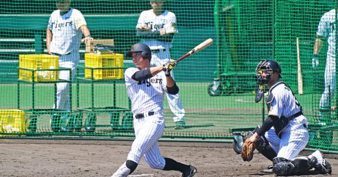 【虎博覧会】阪神・井坪陽生が神宮凱旋 22年夏の甲子園東東京大会、関東第一高で準々決勝敗退「負けた場所なのでそっちの方が強い」プロでは勝って笑う - サンスポ