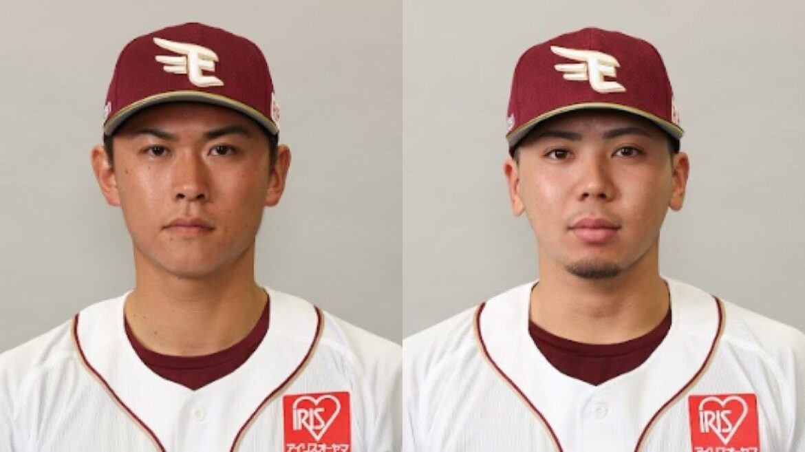 日本テレビ放送網