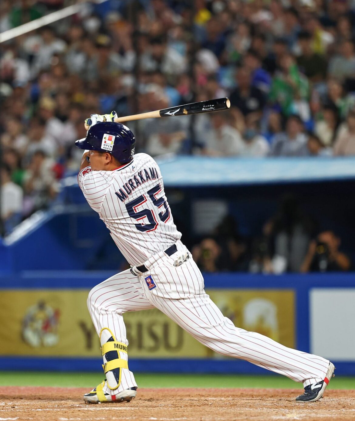 日本テレビ放送網