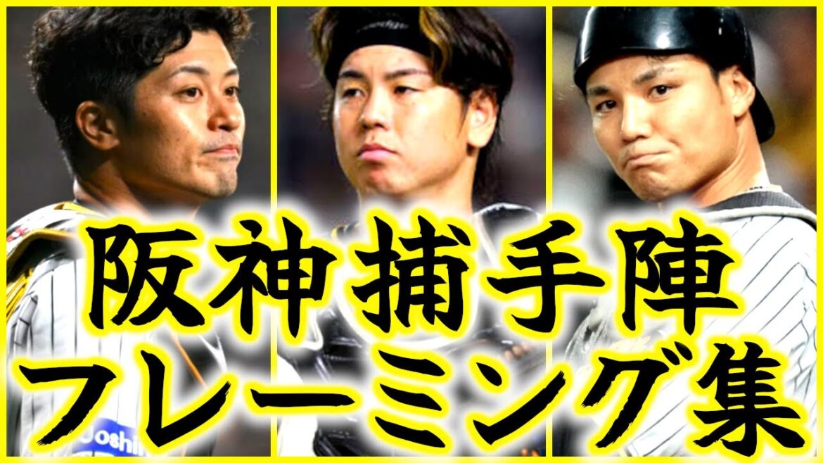 【ほぼ坂本】阪神捕手陣 素晴らしいフレーミング集!! 美しいキャッチング!! 【ほぼ坂本】阪神捕手陣 素晴らしいフレーミング集!! 美しいキャッチング!!
