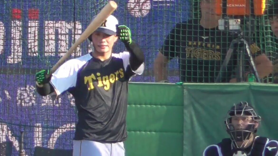 2025年8月26日 阪神・木浪 聖也 選手の試合前フリー打撃練習