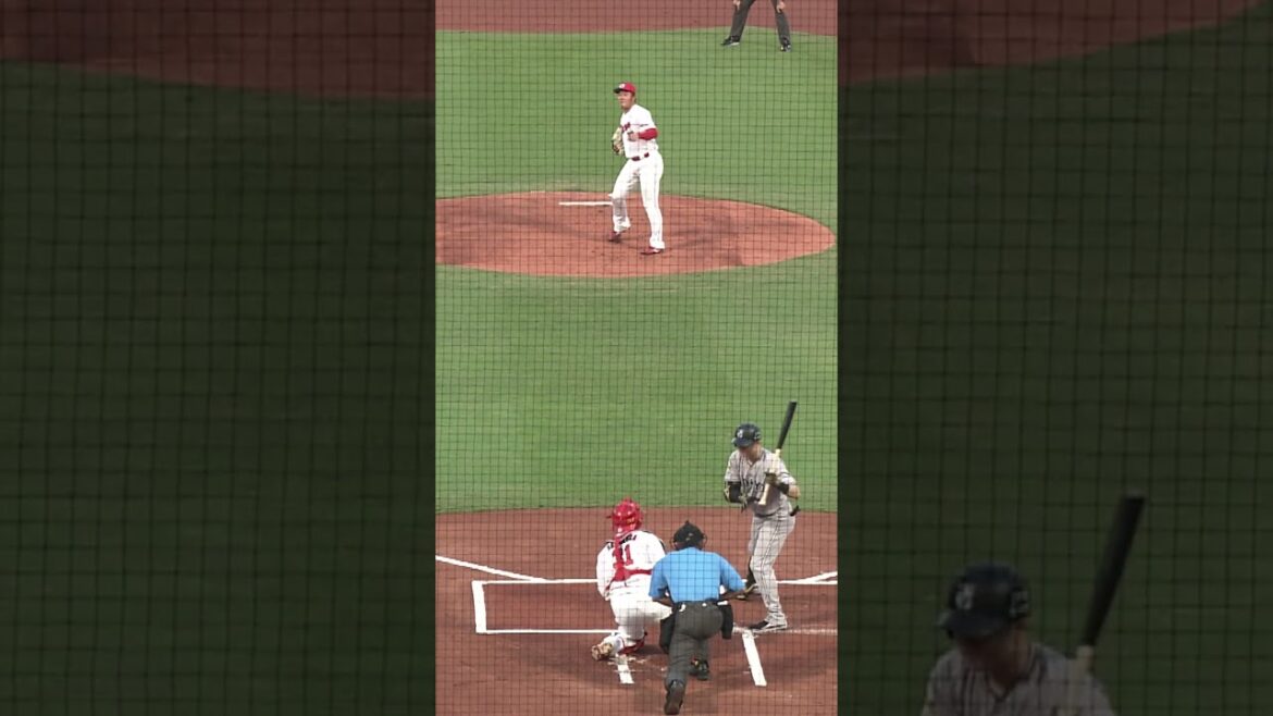 今季盗塁に苦しめられている坂倉将吾が意地のサクキャノン🔥【球団認定】カープ全力応援チャンネル