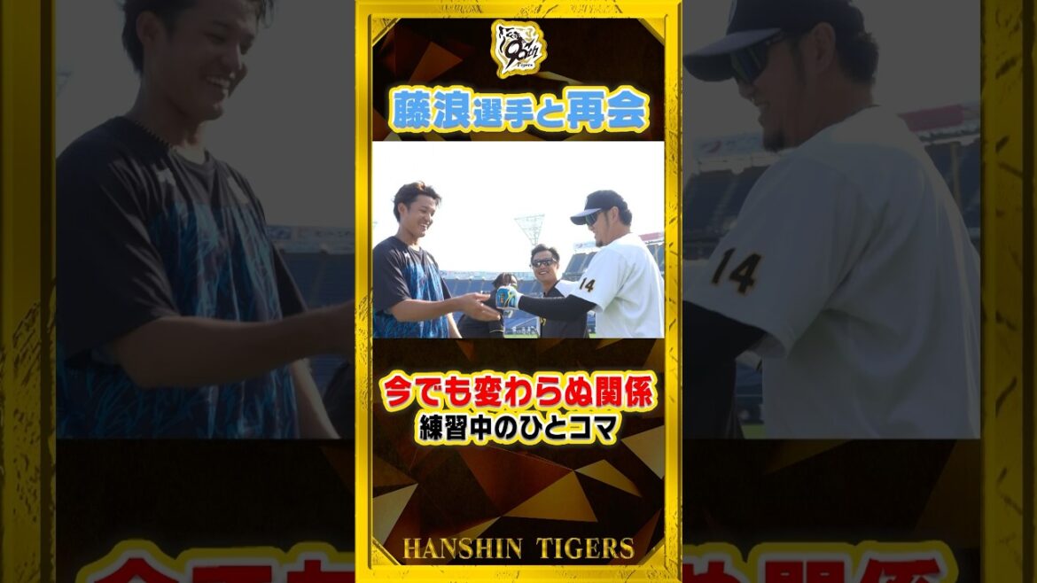 【再会】虎戦士たちが#藤浪晋太郎 選手と横浜スタジアムで再会！#岩貞祐太 選手はさすがのイジリを披露！？#shorts