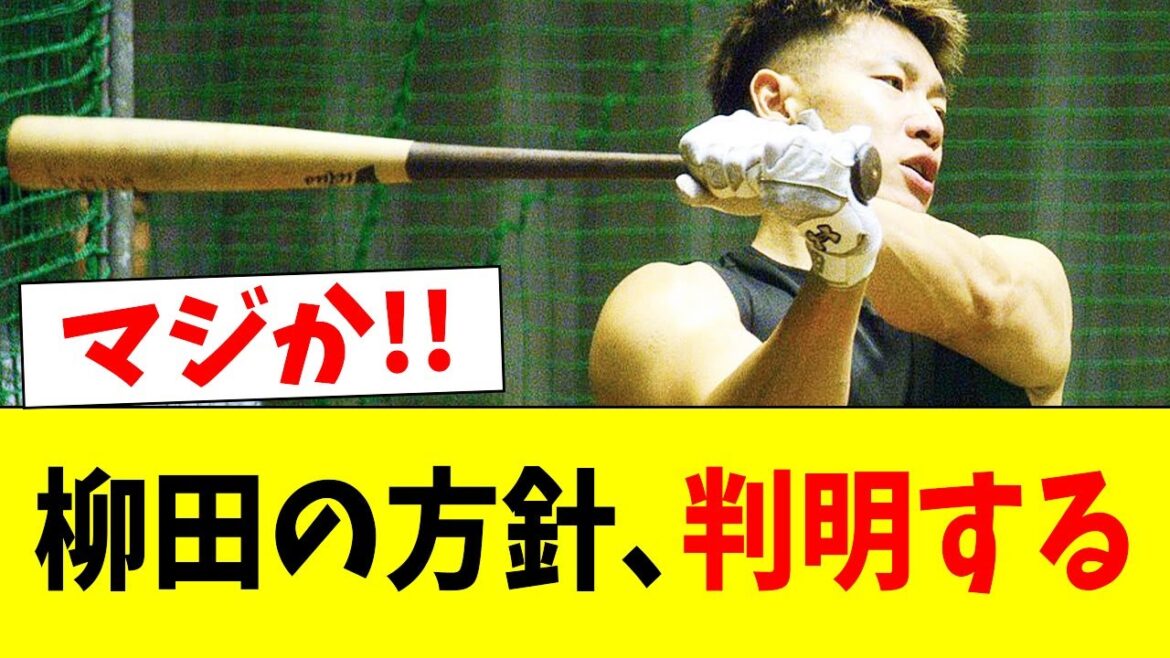 【朗報】ホークス柳田の方針が判明する!!【なんJ反応】【プロ野球反応集】