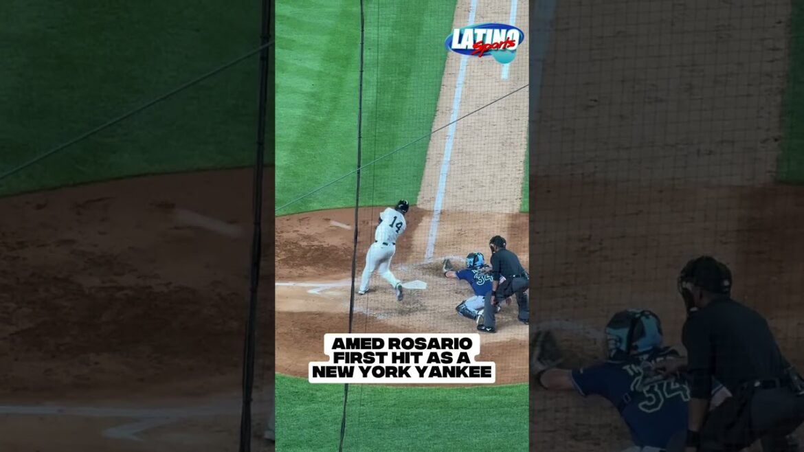 New York Yankees Amed Rosario MLB Highlights first hit as a Yankee #short #shortvideo #yankees #nyy