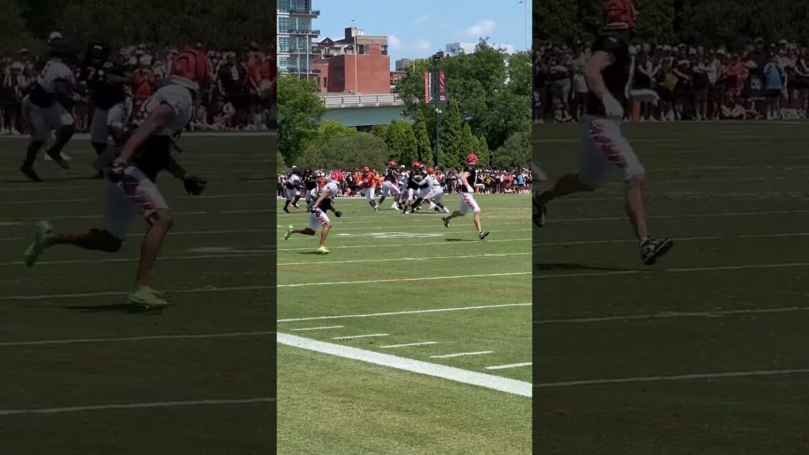 Joe Burrow takes off on scramble Sunday