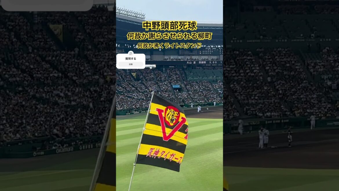 中野頭部死球で何故か阪神ファンに謝らさせられる柳町とそれに沸くライトスタンド #中野拓夢 #柳町達 #阪神タイガース #甲子園 #プロ野球 #ソフトバンク