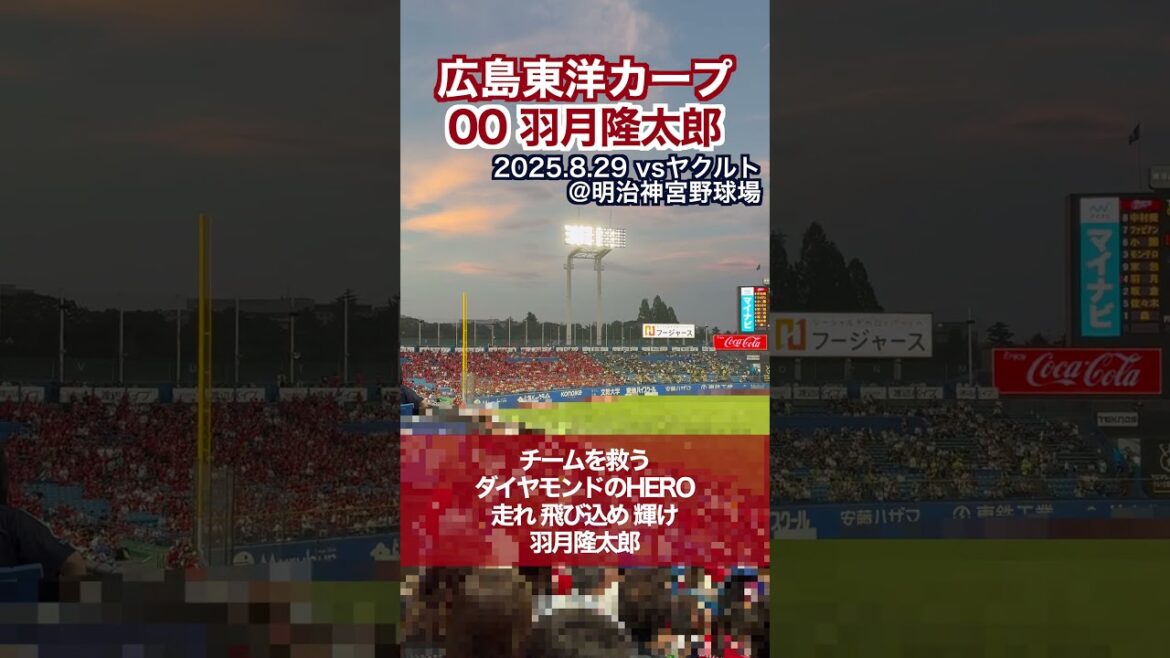【広島東洋カープ】38羽月隆太郎選手のテーマ【応援歌】#広島東洋カープ  #carp #羽月隆太郎 #shorts