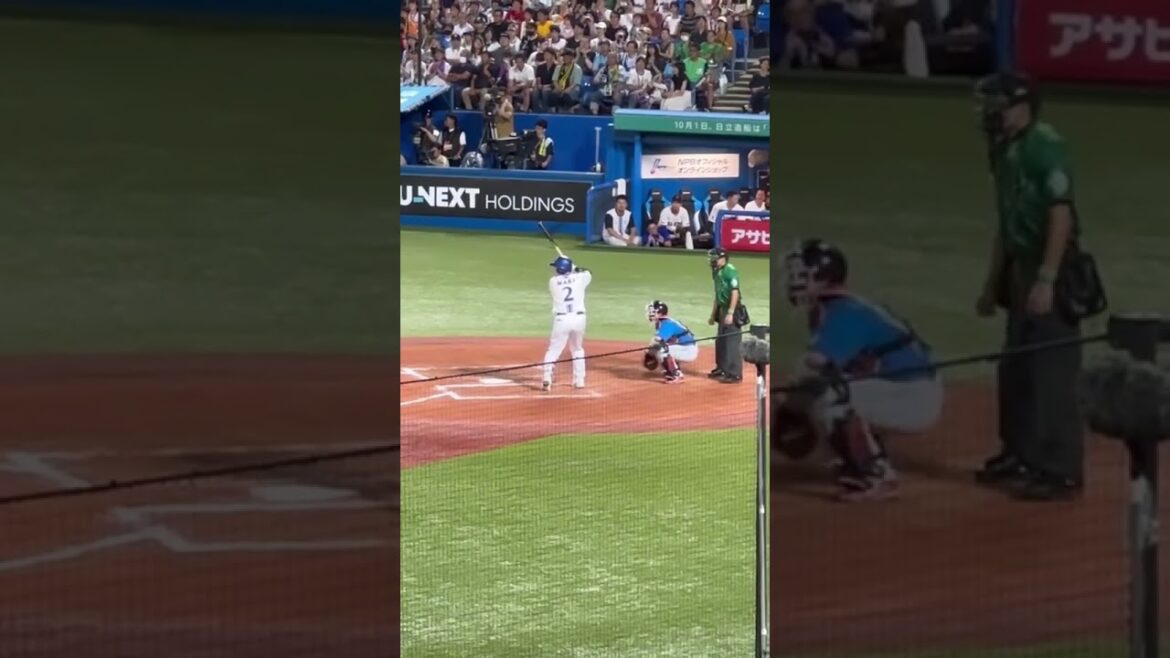 オールスターでの全球団ファンによる讀賣倒せコール #オールスター #チャンステーマ #プロ野球 #コール