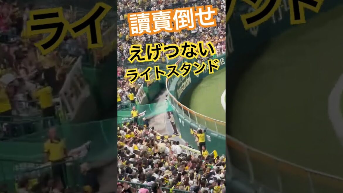 #tigers #阪神チャンステーマ ##阪神タイガース #阪神応援 #hanshintigers  #阪神 #阪神応援歌 #甲子園 #阪神チャンスマーチ #阪神甲子園球場 #猛虎 #hanshin