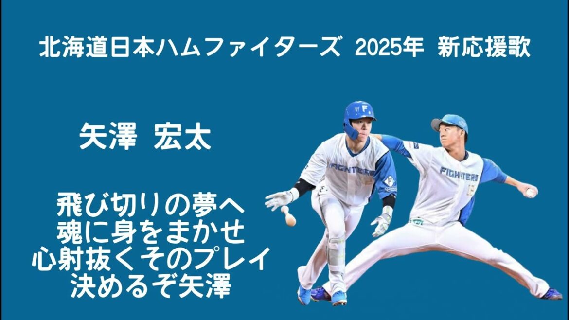 北海道日本ハムファイターズ 矢澤宏太 新応援歌