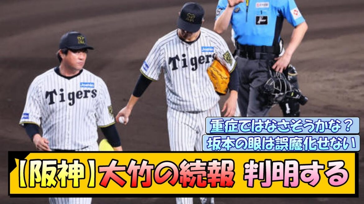 【阪神】大竹の続報 判明する