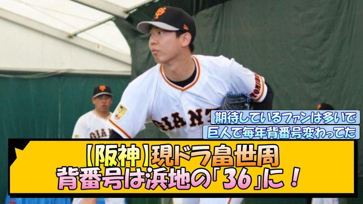 【阪神】現ドラ畠世周 背番号は浜地の「36」に！【なんJ/2ch/5ch/ネット 反応 まとめ/阪神タイガース/藤川球児/現役ドラフト】